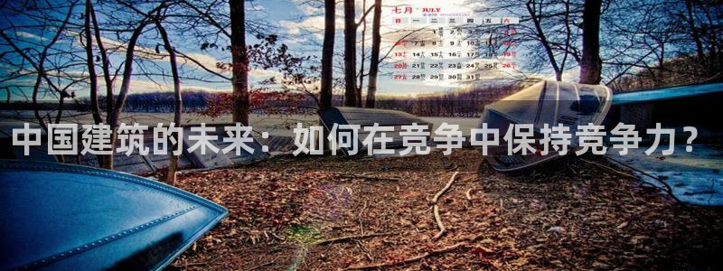 新航娱乐有限公司怎么样