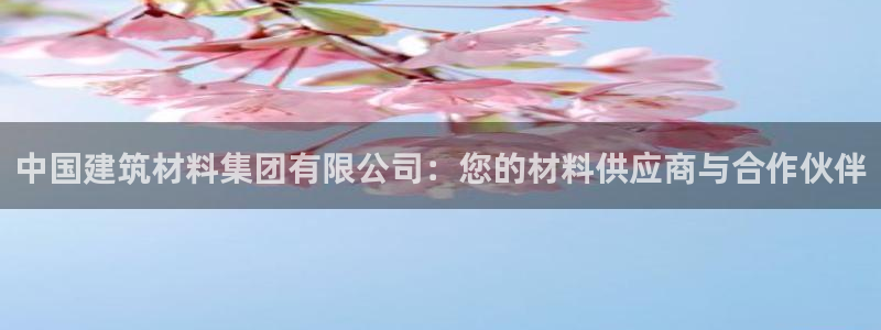 新航娱乐公司艺人招聘
