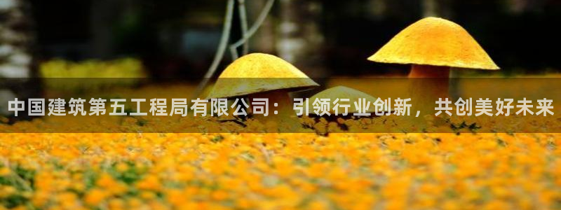 新航海娱乐会所电话地址