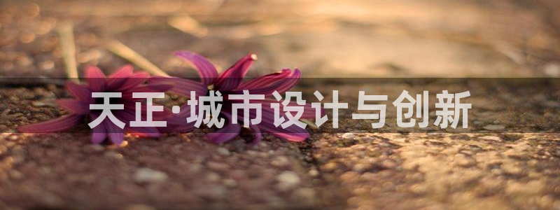 新航娱乐客服电话