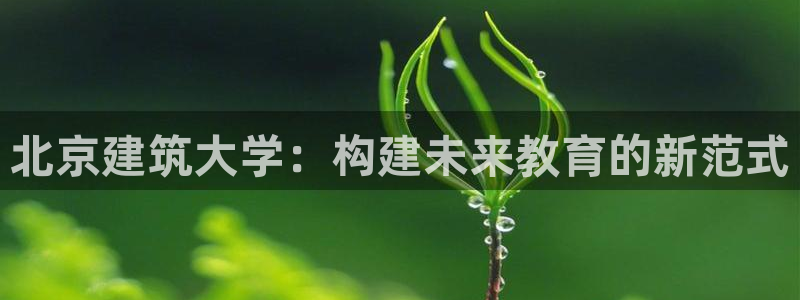 新航娱乐传媒怎么样知乎