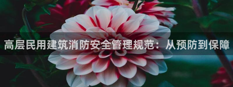 新航海大酒店娱乐城