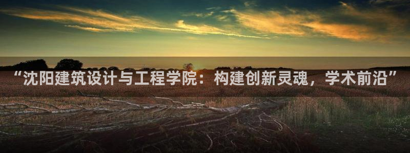 新航娱乐公司怎么样知乎：“沈阳建筑设计与工程学院：构建创新灵魂，学术前沿”