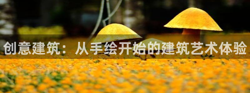 新航娱乐官方首页：创意建筑：从手绘开始的建筑艺术体验