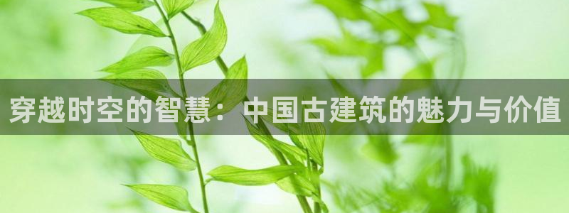 新航娱乐艺人：穿越时空的智慧：中国古建筑的魅力与价值