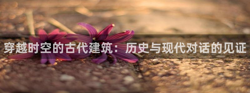 新航娱乐公司地址查询：穿越时空的古代建筑：历史与现代对话的见证