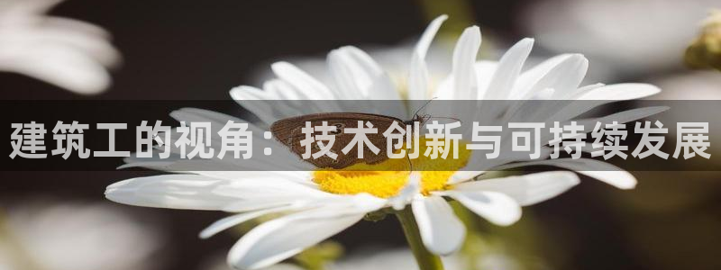 新航文化娱乐传媒怎么样
