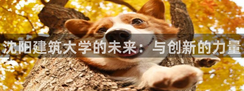 新航海大酒店娱乐城：沈阳建筑大学的未来：与创新的力量