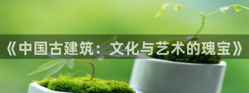 新航机上娱乐：《中国古建筑：文化与艺术的瑰宝》