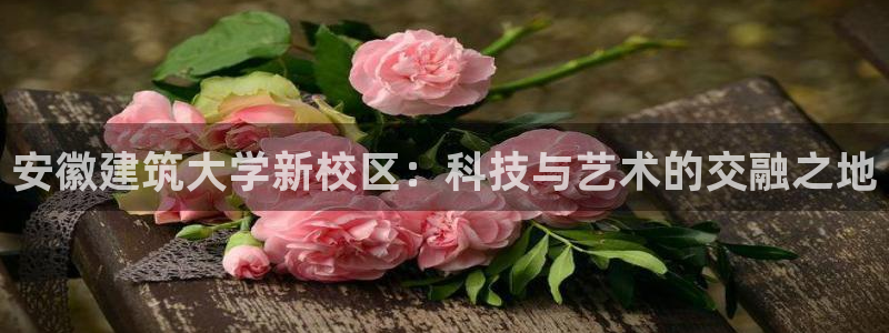 新航娱乐是正规平台吗：安徽建筑大学新校区：科技与艺术的交融之地