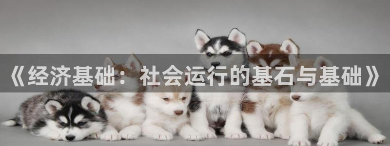 新航娱乐怎么样知乎