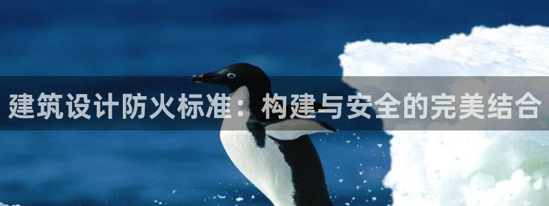 新航机上娱乐