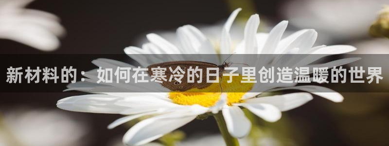 金城娱乐新航母