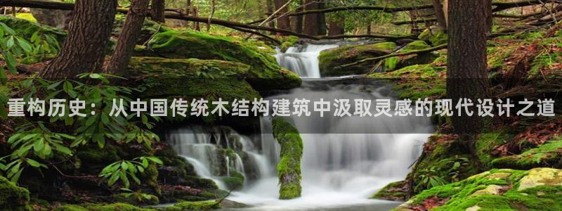 新航娱乐公司招聘电话