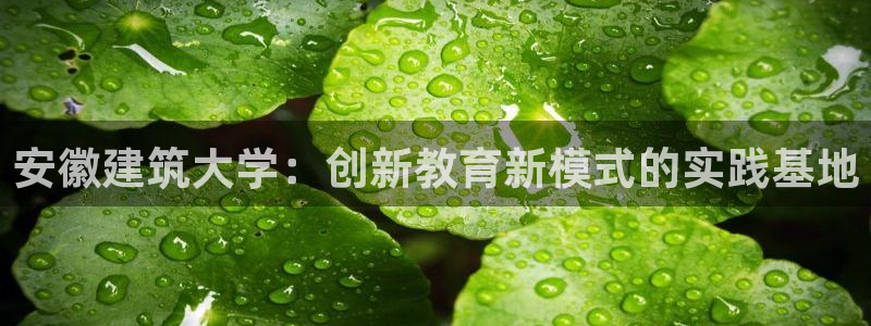 开启娱乐新航线
