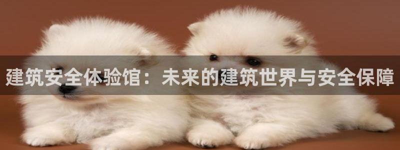 兰山新航线娱乐