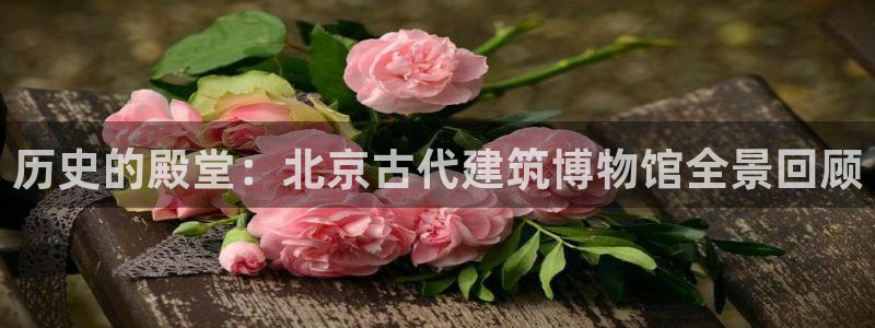 新航娱乐传媒招聘