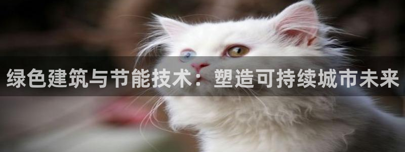 娱乐界的新航母
