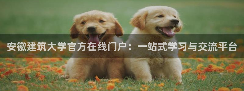 新航娱乐有限公司怎么样