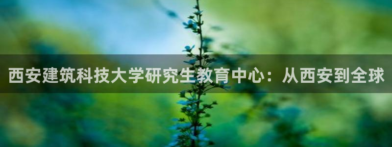 新航娱乐传媒怎么样啊