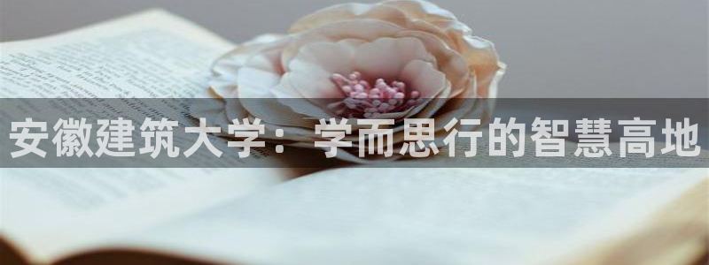 新航海娱乐会所电话