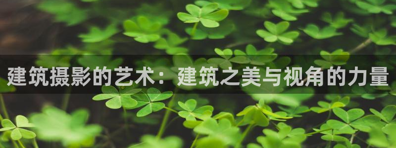 新航娱乐招商