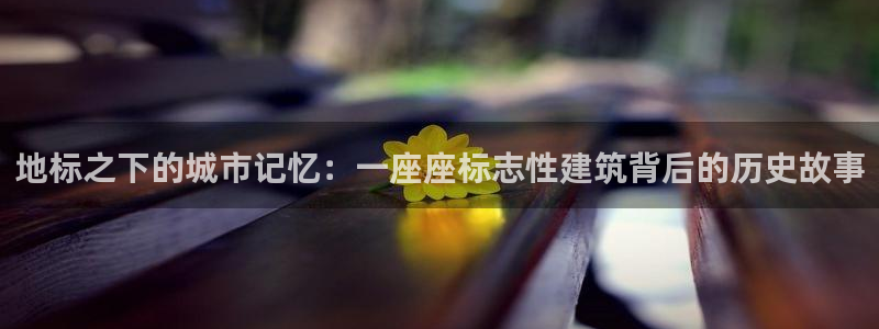 新航娱乐传媒怎么样知乎