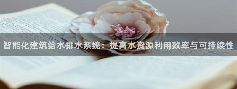 新航娱乐传媒招聘信息网