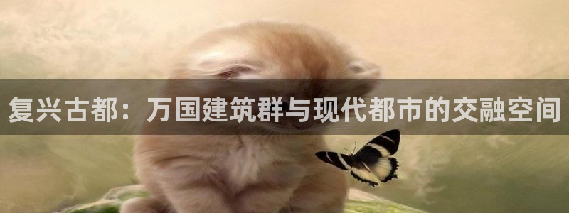 新航娱乐传媒怎么样知乎