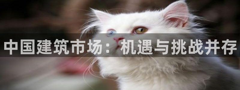 新航娱乐入网要求