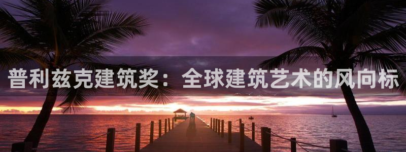 新航娱乐公司问题分析