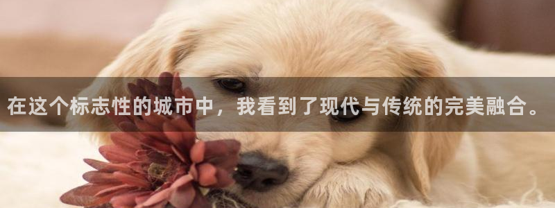 新航娱乐官网登录