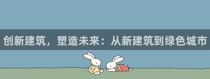 新航娱乐公司问题解决