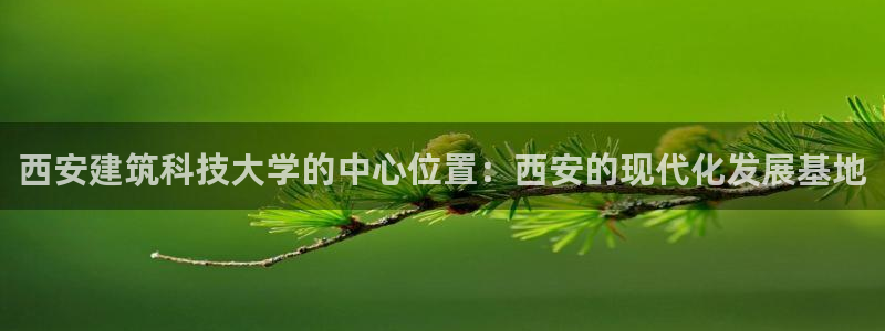 新航娱乐直开怎么下载