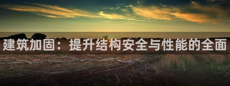 新航娱乐平台官网：建筑加固：提升结构安全与性能的全面