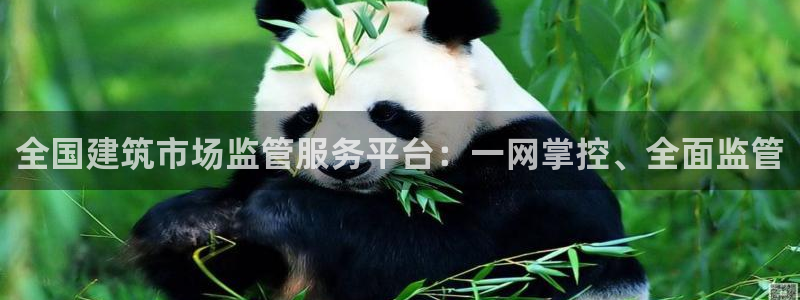 新航国际娱乐：全国建筑市场监管服务平台：一网掌控、全面监管
