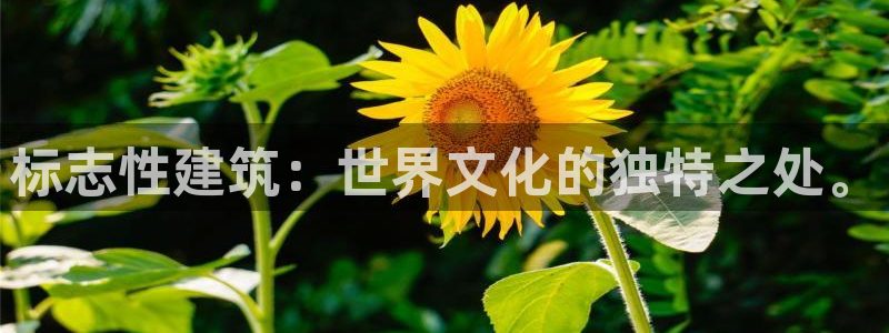 新航娱乐集团最新消息