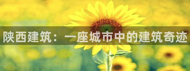 高州市新航线娱乐俱乐部