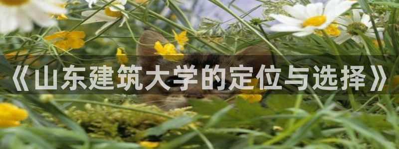 新航娱乐公司招聘信息网