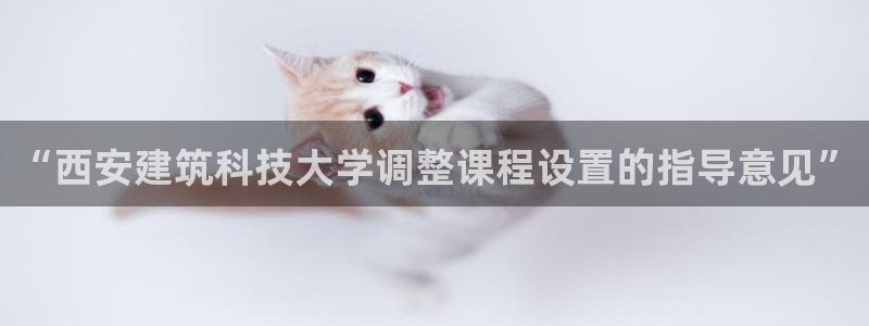 新航娱乐近期演出活动