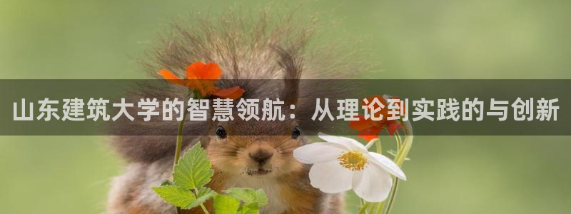 新航娱乐平台官网