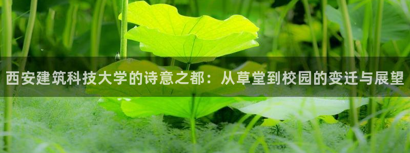 新航娱乐官网地址