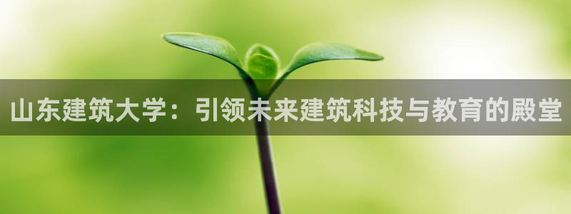 新航娱乐官网登录