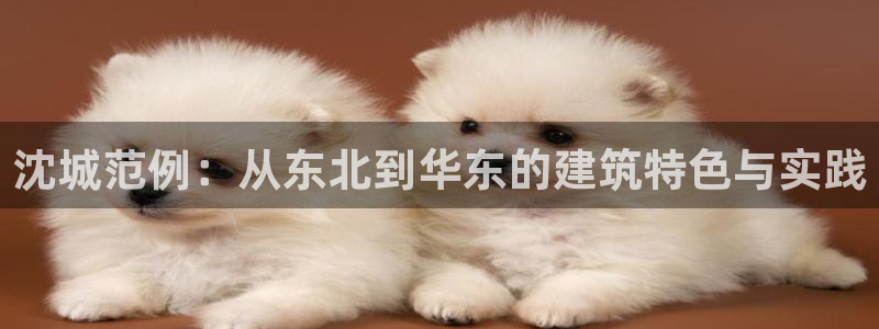 邯大新航娱乐：沈城范例：从东北到华东的建筑特色与实践