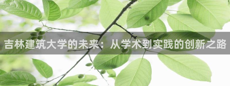 新航娱乐公司简介资料