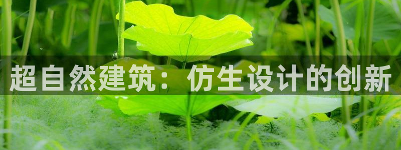 南京新航娱乐会所地址